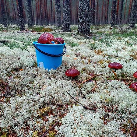 Mysig Timmerstuga Vid Sjoen Bjoerken 34 Roennsudden Grangärde Exterior foto